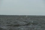 resIMG_20151017_163512_4880.JPG